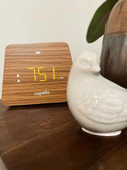 The Nest In 5 Points, Downtown, Walk To Everything Huntsville Ngoại thất bức ảnh